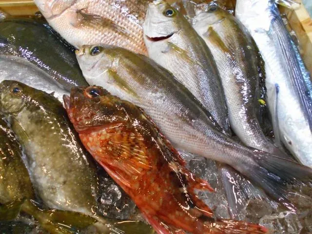 專家表示，應是魚類做好後沒有注意保存，感染了發光細菌。(圖／photoAC)&nbsp; &nbsp;