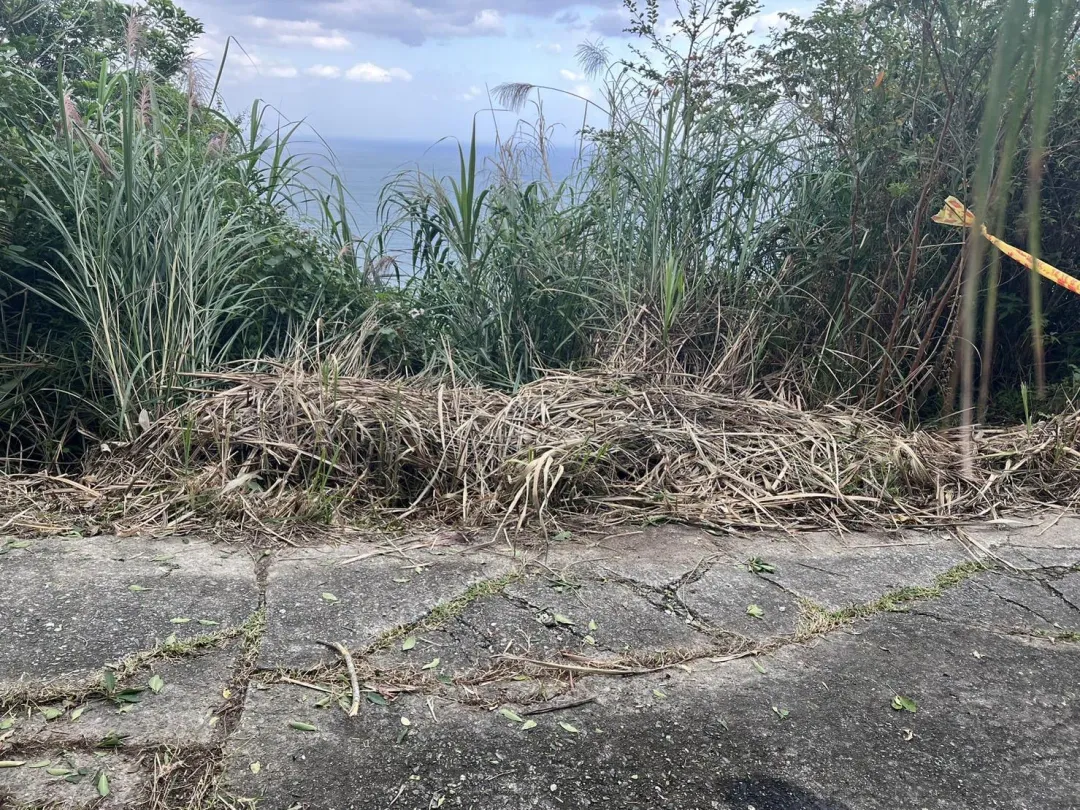 蕭女從10公尺高空墜落到台11線37公里處產業道路上，傷重送醫不治。（圖／花蓮縣消防局提供）