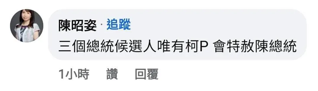 陳昭姿臉書留言。(圖/翻攝陳昭姿臉書)