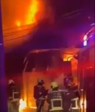 消防隊30分鐘左右就控制火勢,但來不及拯救家禽和賽鴿的生命。(圖/翻攝畫面)