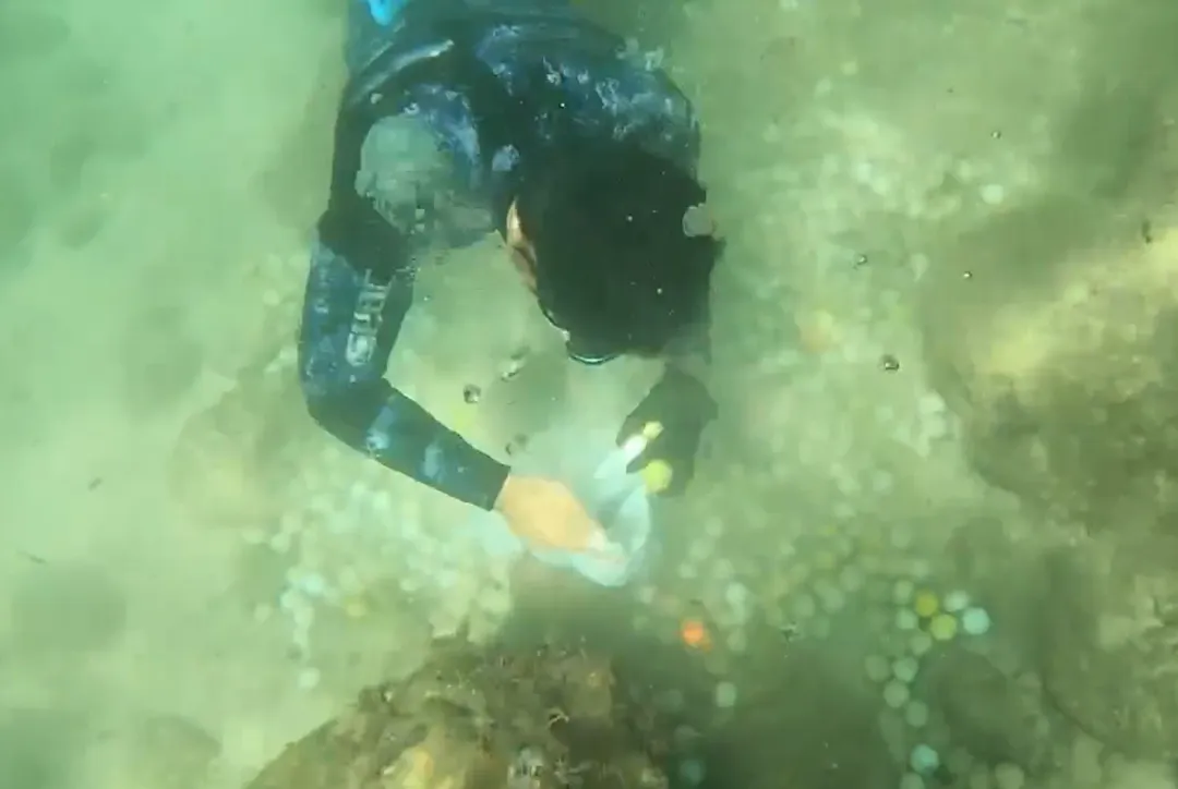 當地民眾自發組團潛入海底清理高爾夫球，且發現有些球已經劣化變色。（圖／翻攝自X@a4444888）