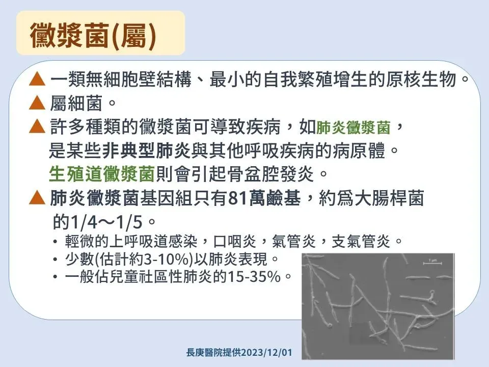 黴漿菌。（圖／疾管署）