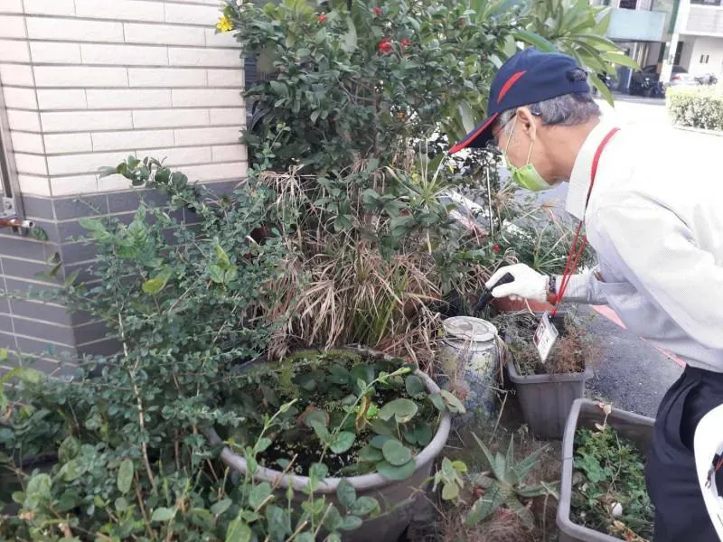 本土登革熱也+1 近日降雨應注意孳生源清除 個案為高雄市20多歲民眾