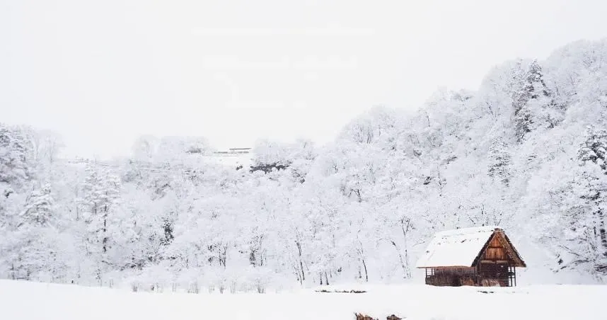 12月7日將迎來24節氣中的大雪。(示意圖/Unsplash)