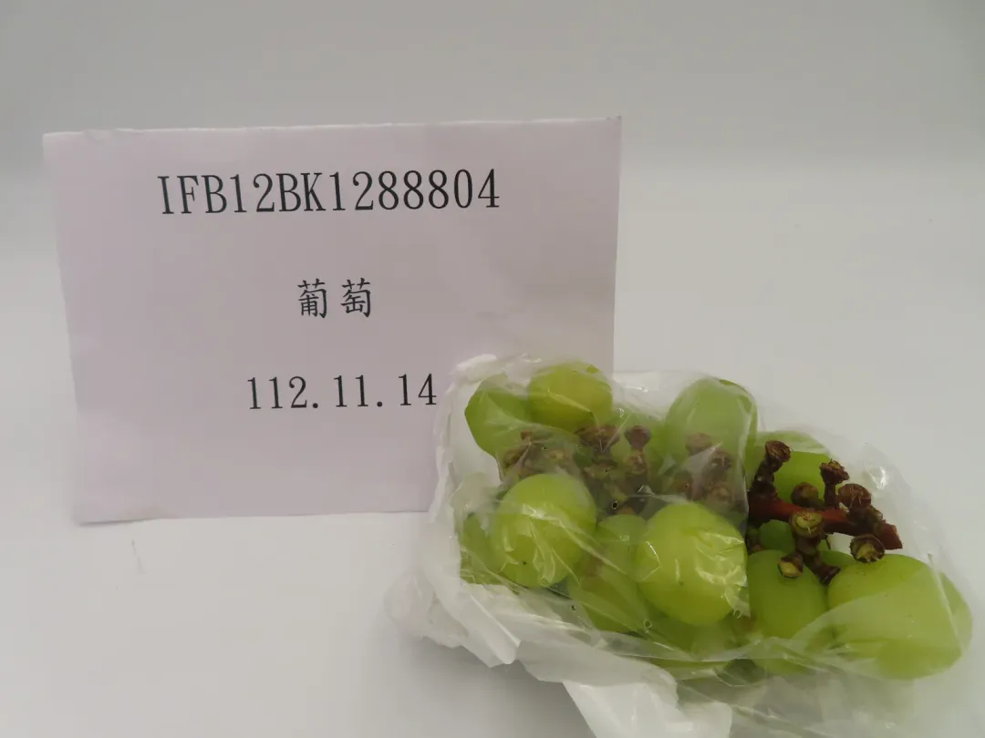 韓國進口「葡萄(KOREAN FRESH SHINE MUSCAT GRAPE)」檢出農藥殘留含量不符規定。（圖／食藥署提供）