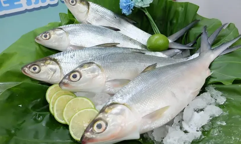 虱目魚營養價值豐富,全身都是寶。(示意圖/資料庫)