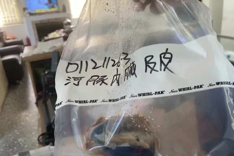 南投一位民眾日前吃下基隆友人贈送的河豚魚肉毒發身亡,南投衛生局與檢方正在調查、究責。(圖/南投縣衛生局提供)