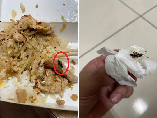 過去曾有民眾表示自己在同店便當裡吃到「類似蜜蜂的蟲」。(圖/翻攝自GoogleMaps)