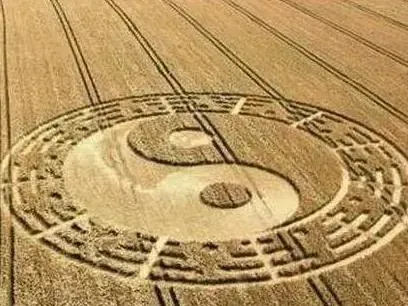 明年甲辰年太陽化忌。（圖／百度）