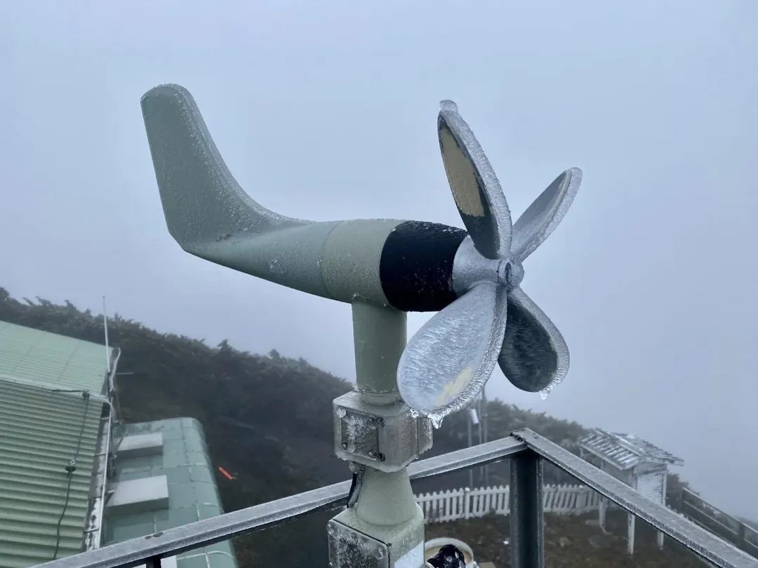 玉山北峰測站今日早上有下雨，水氣凝結畫面。（圖／中央氣象署）