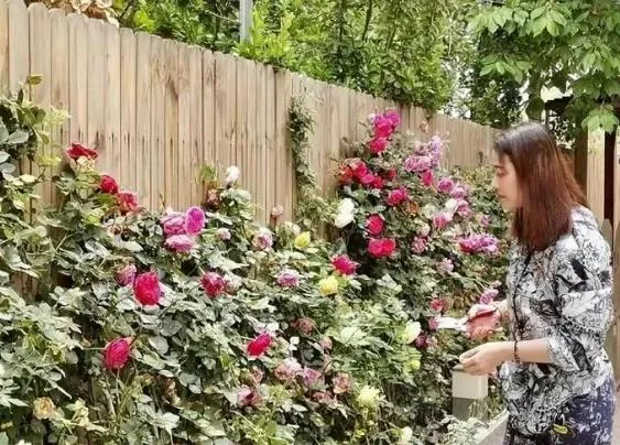 周海媚豪宅有很大的花園。（圖／微博）