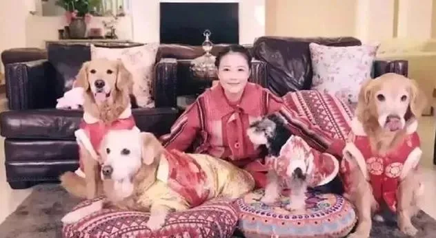 周海媚和愛犬合照。（圖／微博）