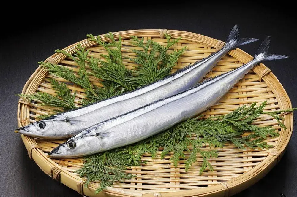 秋刀魚富含Omega-3脂肪酸,對於維持腦部健康,與神經傳導功能相當重要。(示意圖/Pixabay)