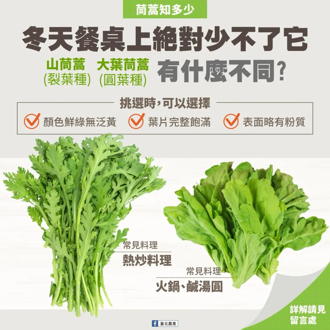 茼蒿知多少。（圖／北農粉專）