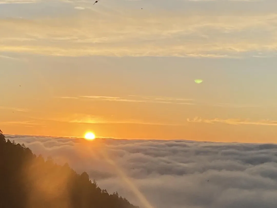 太平山上可見到太陽從雲海中升起的美景。（圖／太平山莊提供）