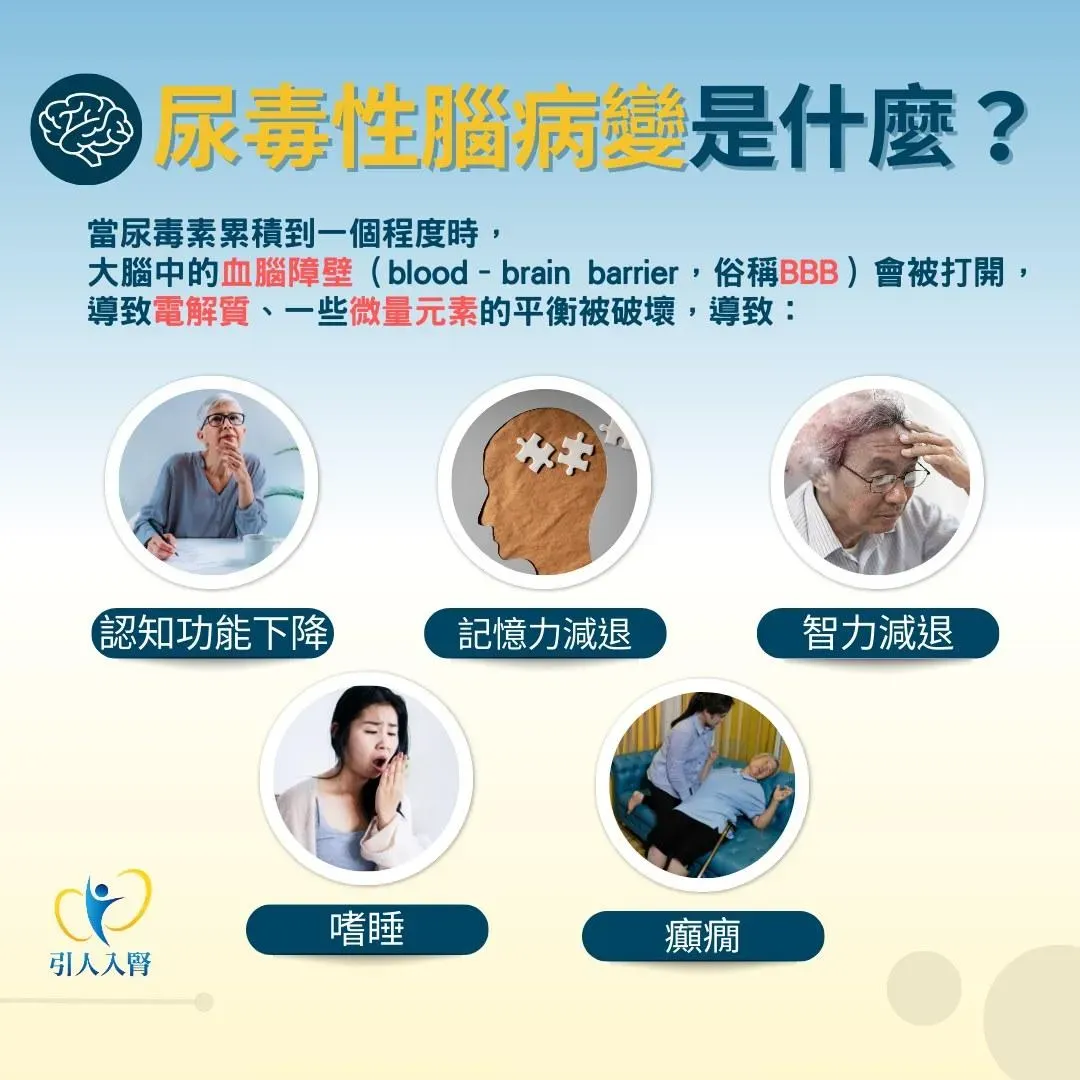 尿毒性腦病變。（圖／林軒任醫師粉專）