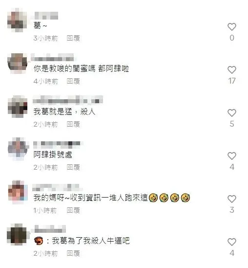 乾妹抖音頁面遭灌爆，網友留言不手軟。（圖／翻攝畫面）