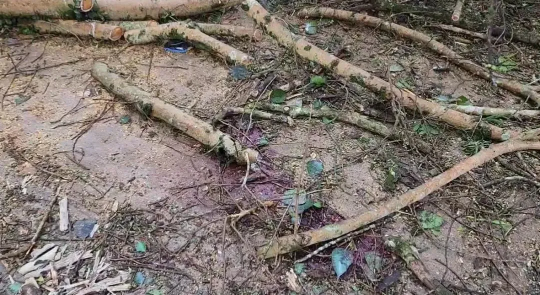 1名傷者頭部受傷嚴重，鮮血流滿地。（圖／翻攝畫面）