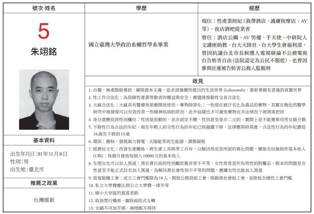 台北市立委候選人朱翊銘主張「火鍋不可加芋頭，咖哩飯不得拌」（翻攝自台北市選舉公報）