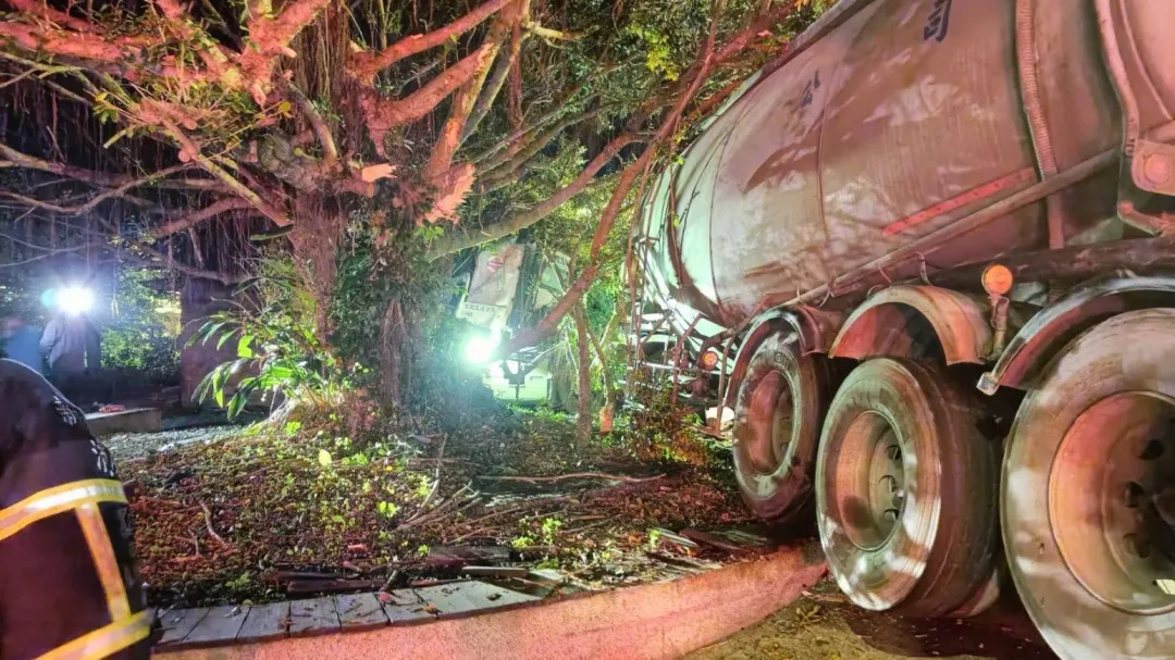 水騎車撞進公園卡在大樹上。（圖／翻攝畫面）