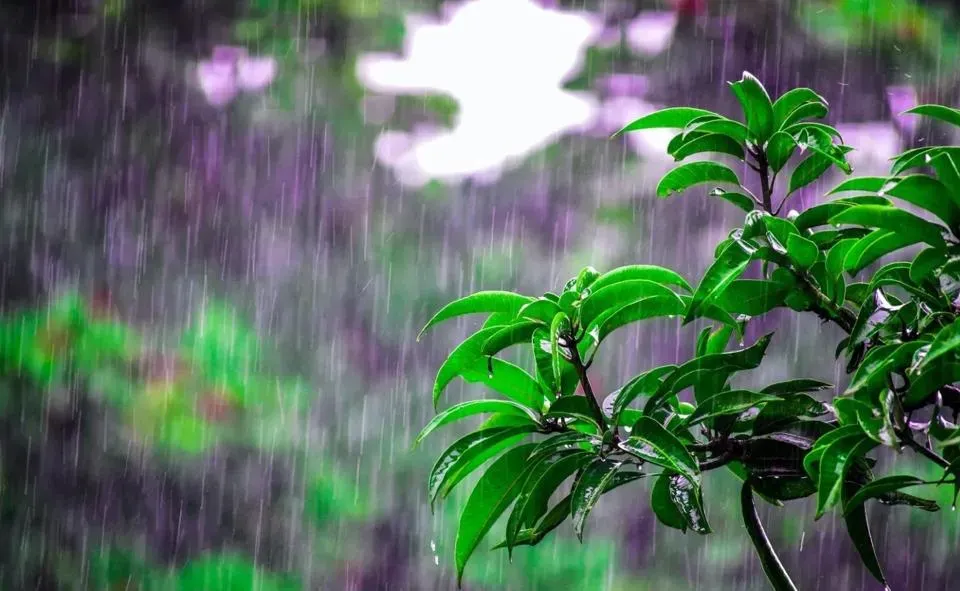 受到華南雲雨區東移影響,全台各地降雨機率增高。(示意圖/Pexels)