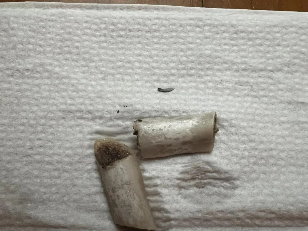好市多豬肋脇排的骨頭上竟插著金屬刀片。（圖／翻攝臉書Costco好市多 商品經驗老實說）