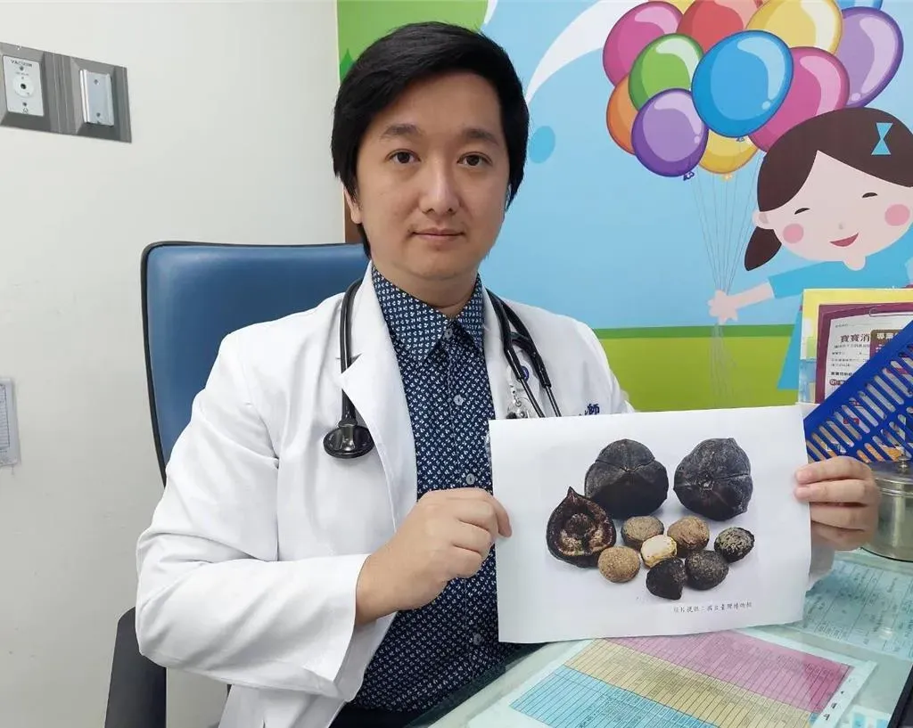 詹裕仁提醒,油桐花果成熟掉落後的「油桐子」具有毒性,千萬不可食用,若雙手碰到也必須清洗乾淨。(圖/大千醫院提供)