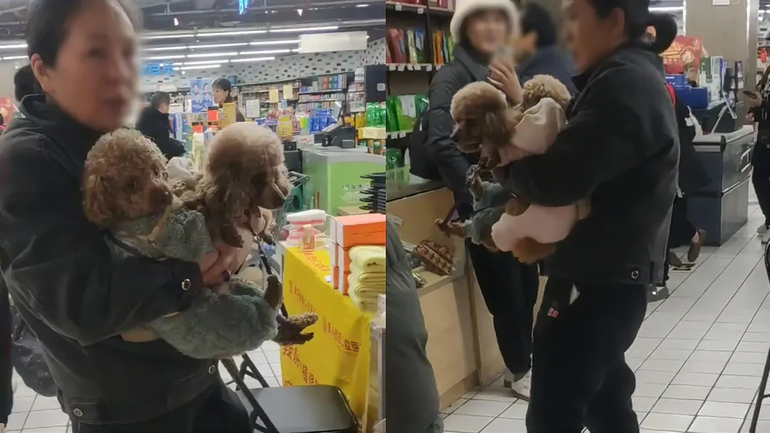 毛孩超市內亂撒尿店員好心提醒,腦殘主人竟嗆「給狗道歉」。(圖/翻攝椒點視頻)