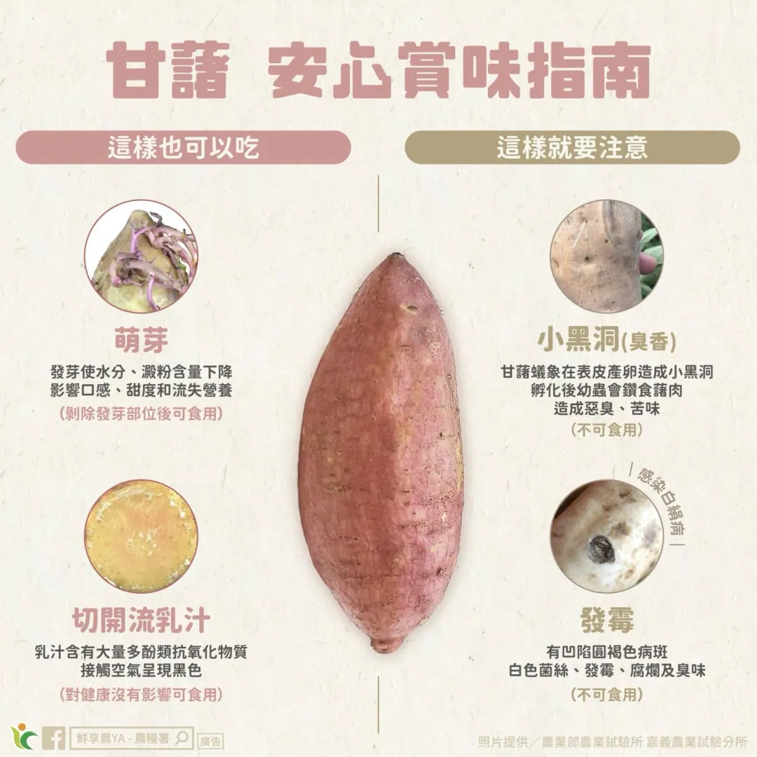 農糧署分享,挑選地瓜時應掌握4個賞味指南。(圖/鮮享農YA - 農糧署)