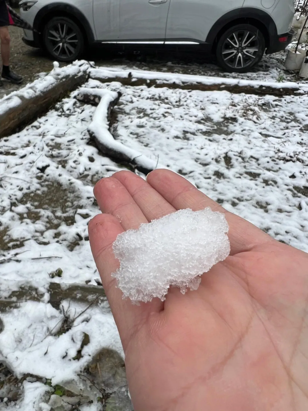 寒流發威，三峽下雪了。（圖／中天新聞）