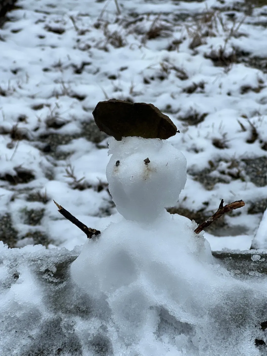 民眾堆的小雪人。（圖／中天新聞）