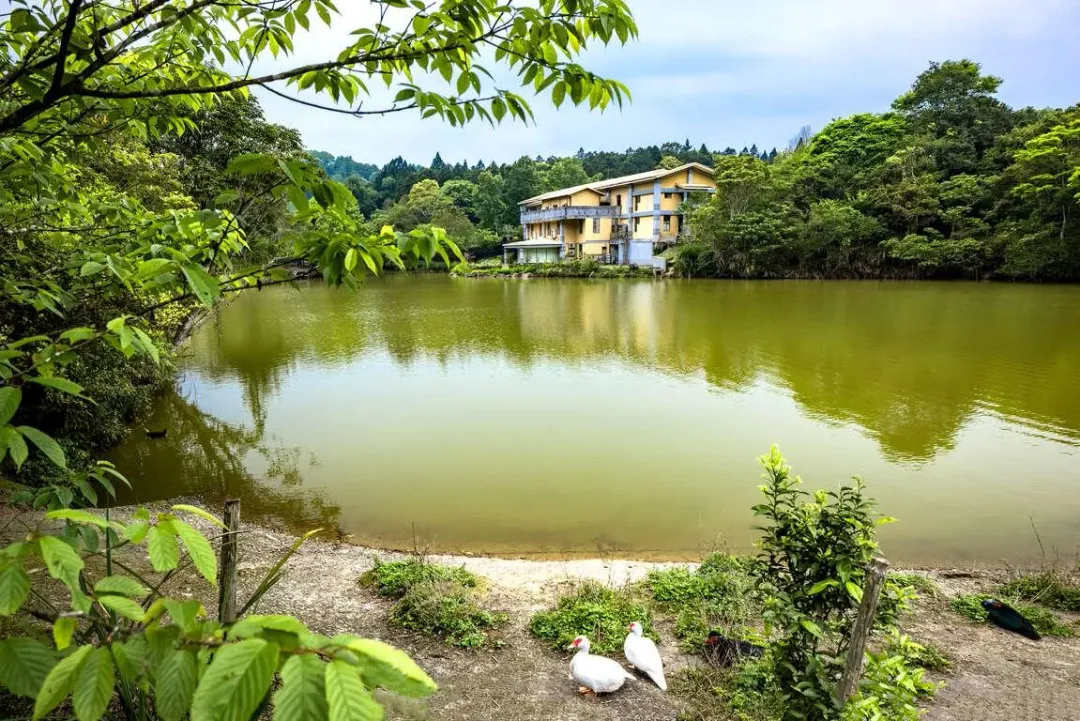 苗栗向天湖。（圖／取自參山國家風景區管理處）