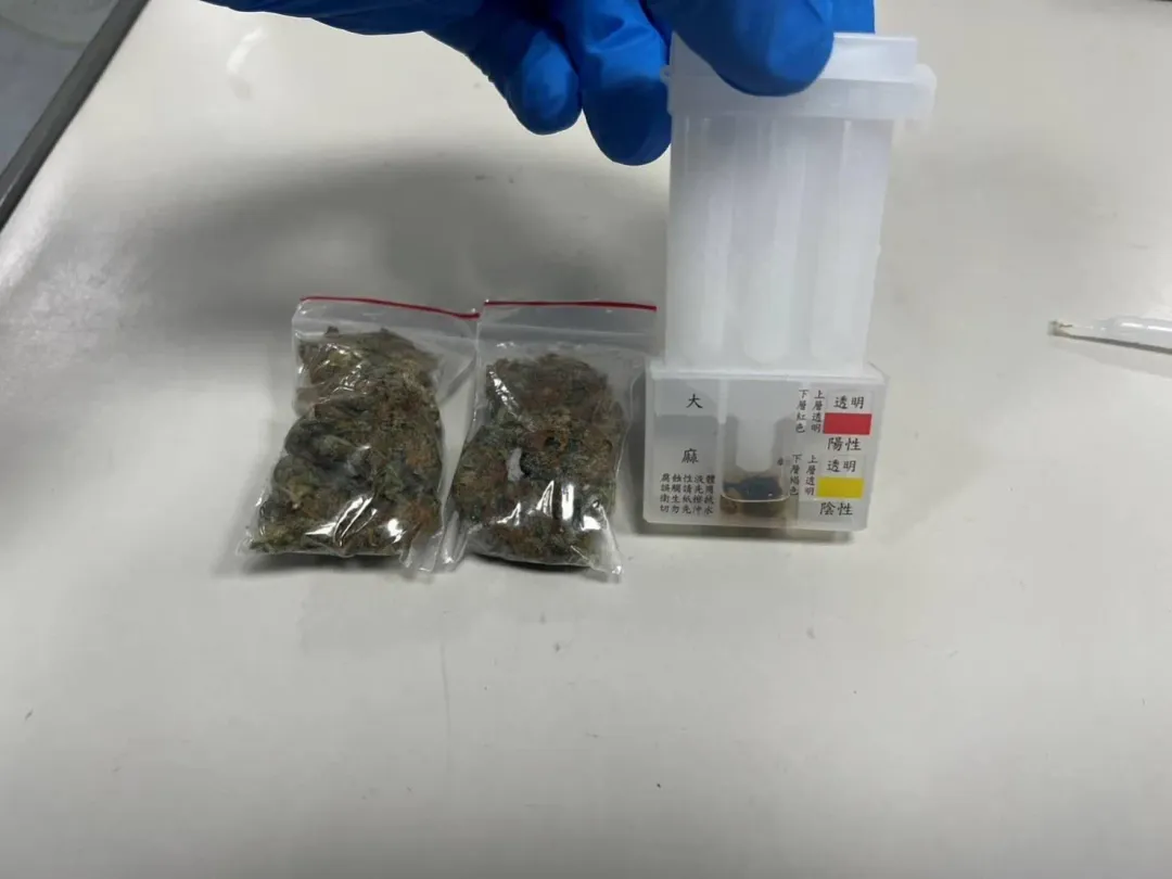 毒品檢測呈第二級毒品大麻陽性反應。(圖/翻攝畫面)