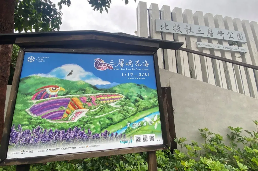 三層崎公園花海到3月底為止。(圖/翻攝畫面)