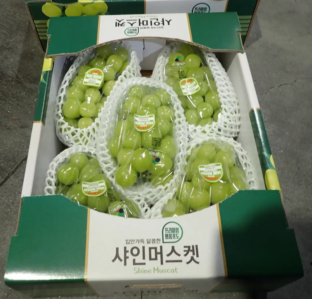 韓國進口「鮮葡萄(SHINE MUSCAT GRAPES)」檢出農藥殘留含量不符規定。(圖/食藥署)