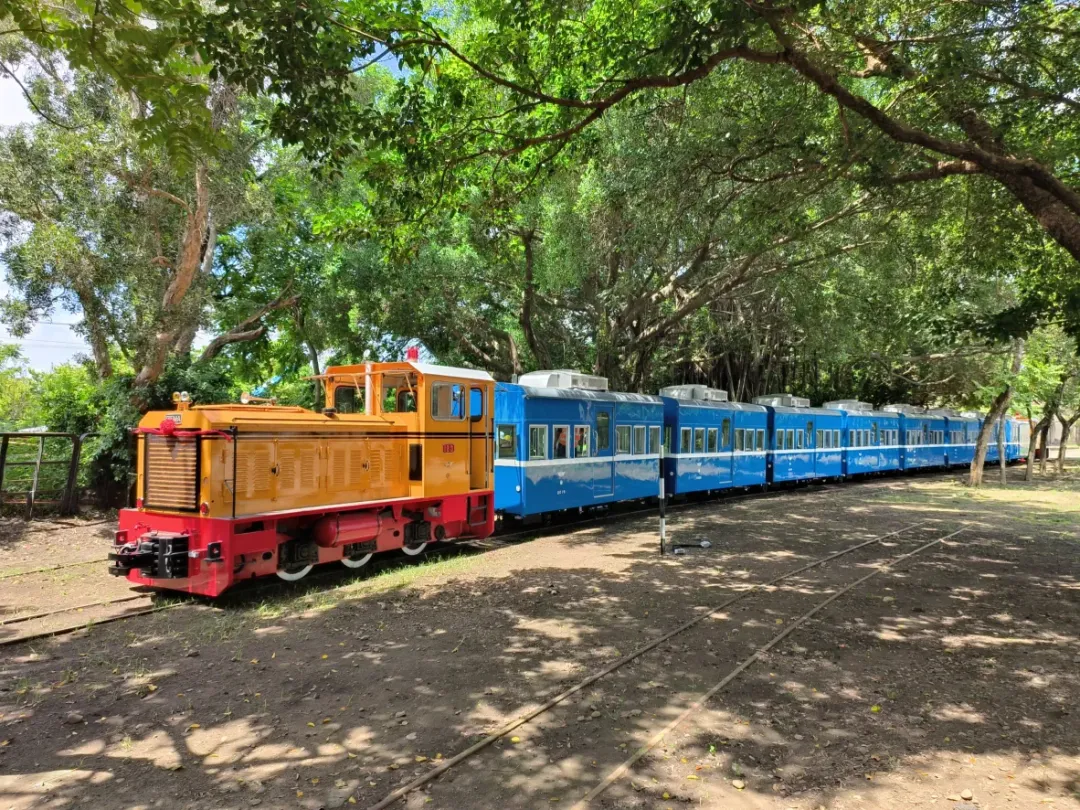 蒜頭糖廠可以搭乘「五分仔小火車」欣賞沿途風光。（圖／取自台糖官網）