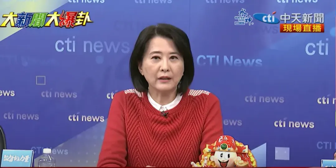 國民黨立委王鴻薇資料召。（圖／中天新聞）