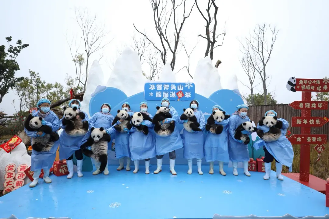 想拍合照簡直是不可能的任務（圖／新華社）