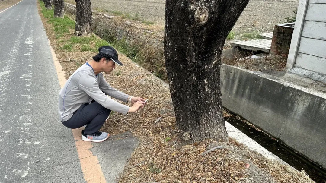 今日將會同樹醫生檢查，研議緊急處理方案。（圖／民眾提供）