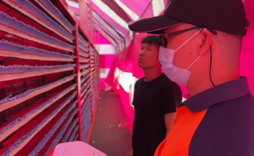 消防安檢人員與炮城主人正對炮城進行各項安檢，通過檢查者會貼上標記。（圖／中天新聞）