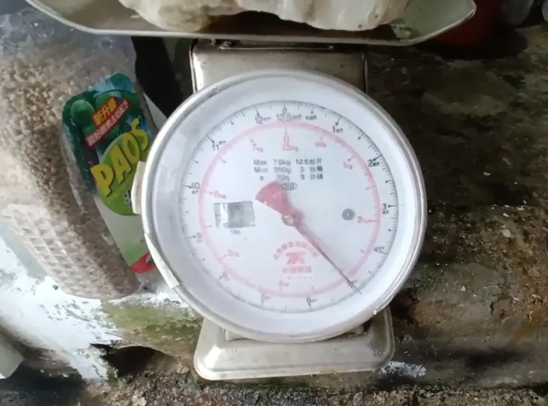 林姓民眾測量之後,發現這顆疑似龍涎香的奇石重量不輕。(圖/林國文提供)