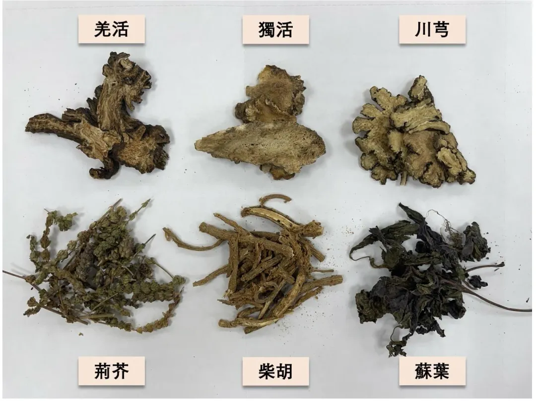 治療感冒常用中藥，具有祛風解表功效，讓外來邪氣透散於外，以防止疾病傳變。（圖／台南醫院提供）