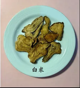 白朮。