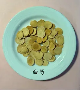 白芍。(圖/臺北市立聯合醫院提供,下同)