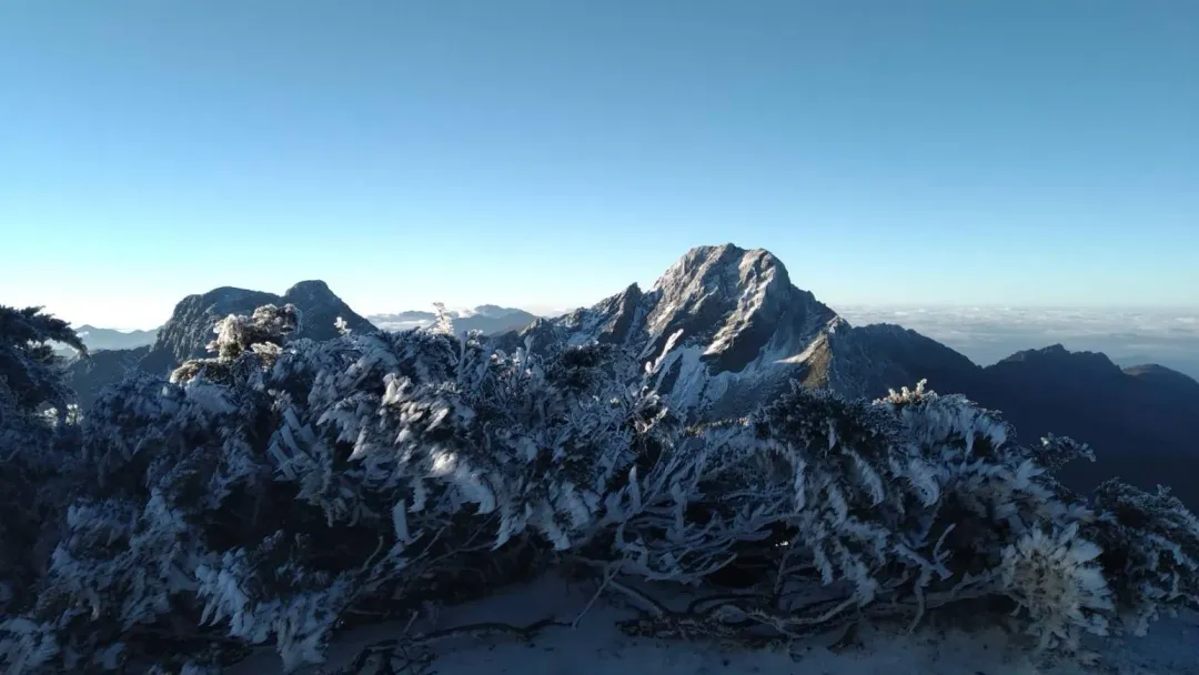 玉山今晨雪景。（圖／中央氣象署提供）