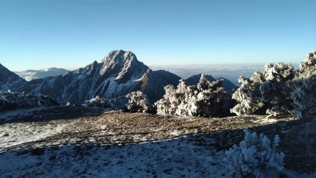 玉山今晨雪景。（圖／中央氣象署提供）