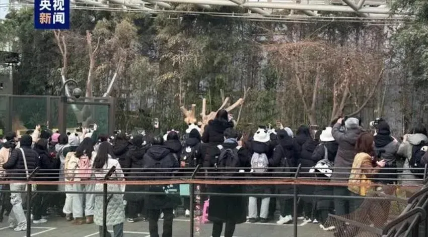 數千南韓民眾前去送別。(圖/翻攝央視新聞)