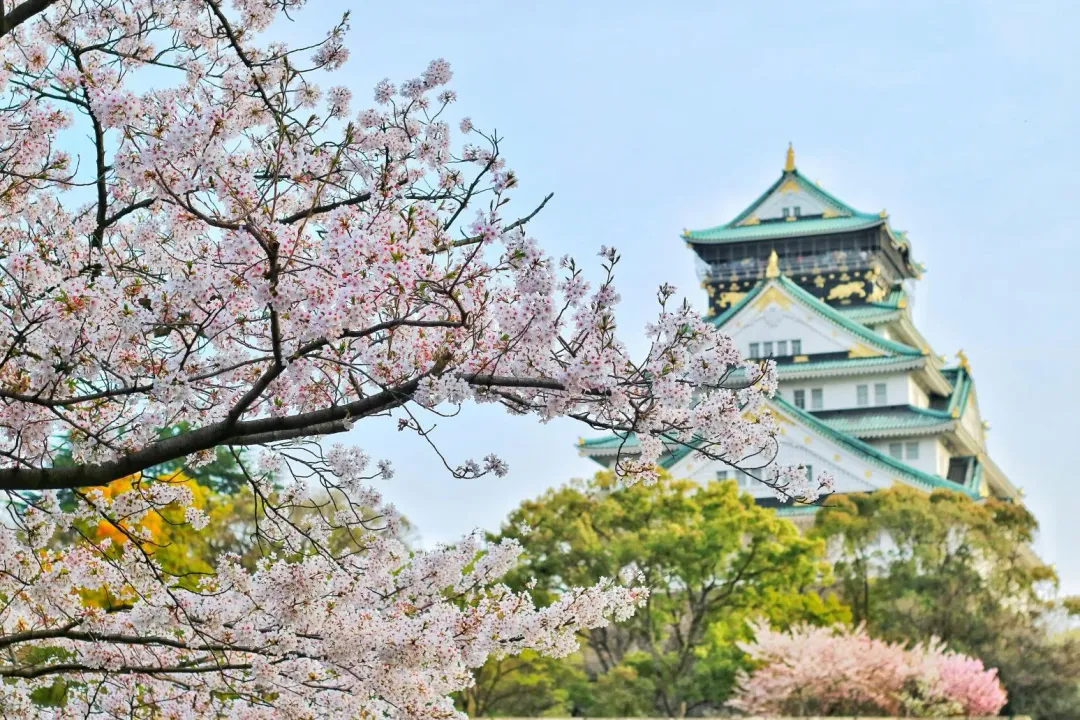 未來遊大阪可能變貴(示意圖/翻攝Pexels)