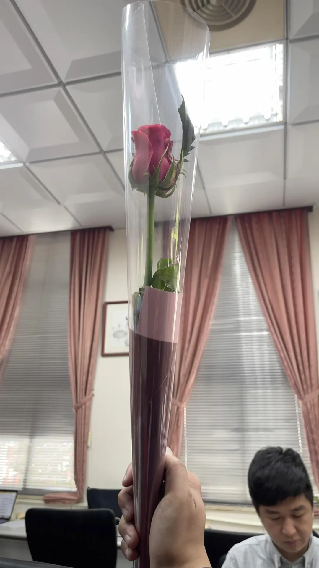 立院的同仁與採訪記者，在國際婦女節這天都收到韓國瑜送的玫瑰花（攝自中天新聞）