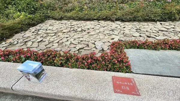 1歲男童凱凱已火化花葬在陽明山。(圖/翻攝畫面)
